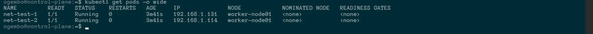 Pod IP addresses